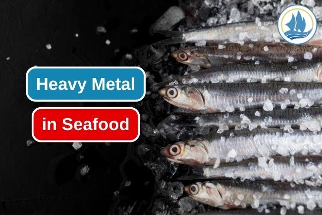 6 Heavy Metals Often Contained in Seafood